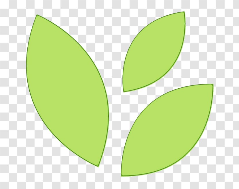 Leaf Green Plant Flower Eucalyptus - Logo Transparent PNG