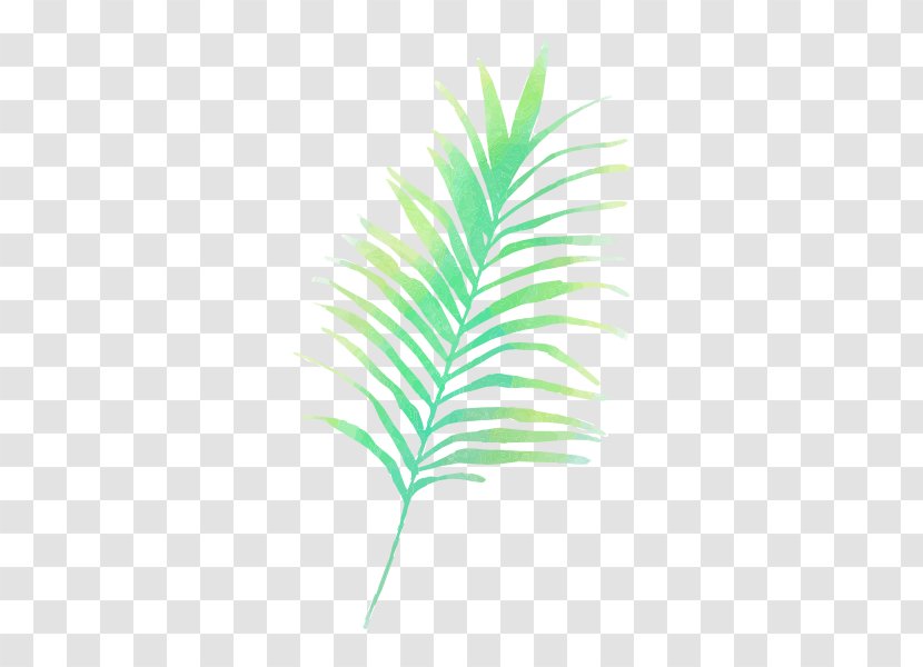 Palm Trees Vector Graphics Clip Art - Green - Ferns Unfurling Transparent PNG