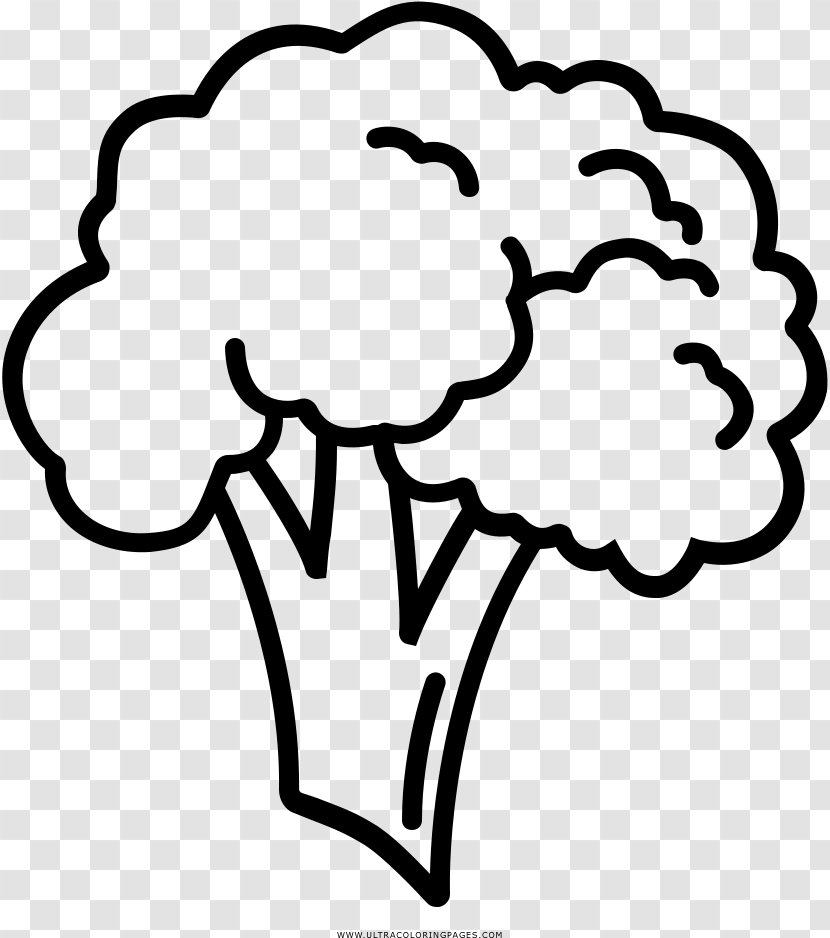 Book Drawing - Broccoli - Blackandwhite Head Transparent PNG