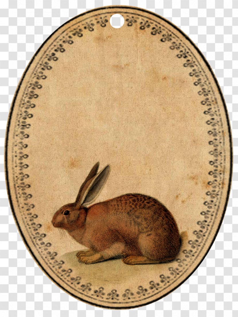 Easter Bunny Vintage Clothing Rabbit Transparent PNG