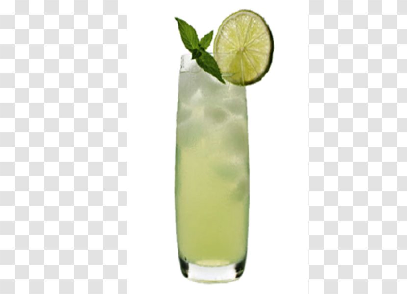 Rickey Gin Fizz Cocktail - Garnish Transparent PNG
