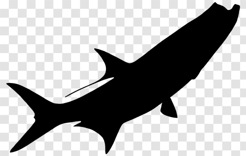 Requiem Sharks Clip Art Fauna Line - Fin - Cartilaginous Fish Transparent PNG