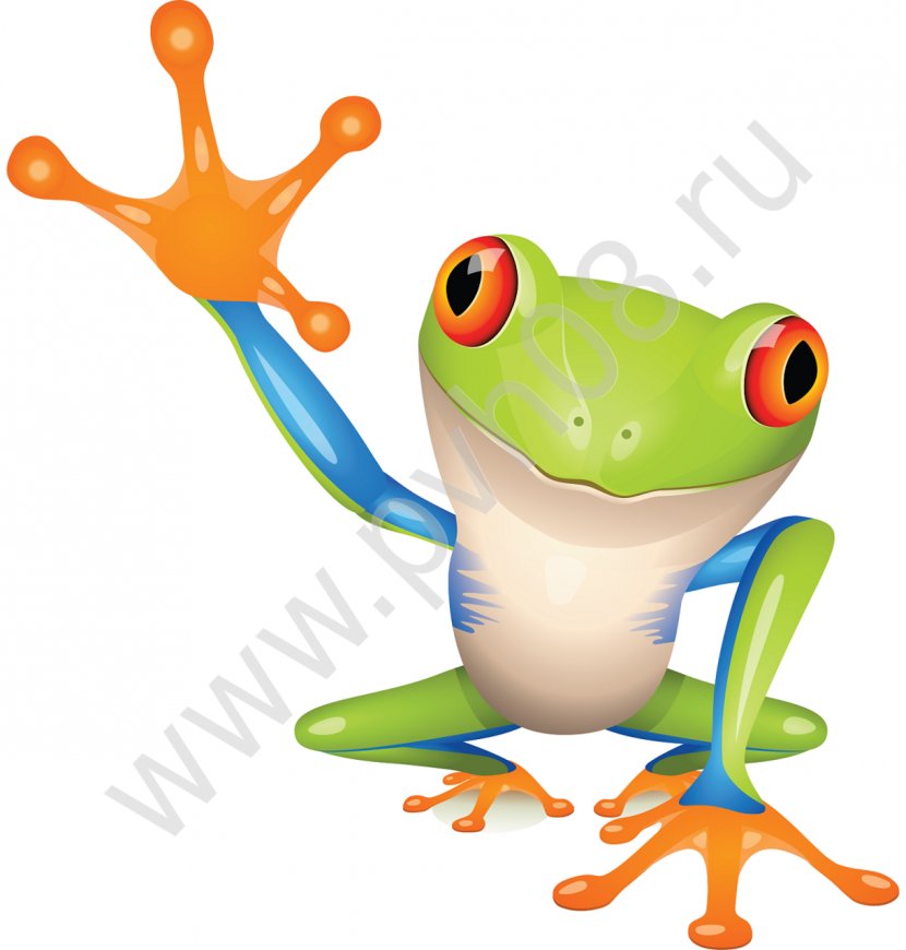 Australian Green Tree Frog Amphibian Clip Art - Cartoon Transparent PNG