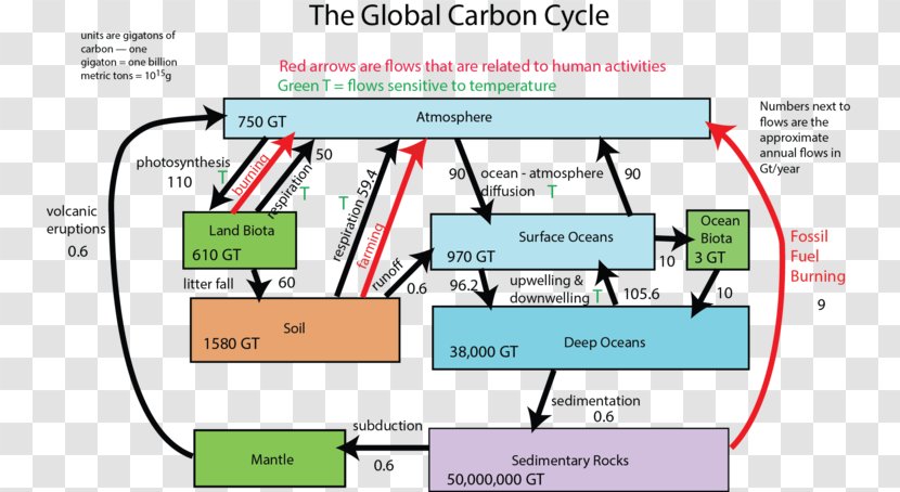 Carbon Cycle Geosphere Diagram Process - Antoine Lavoisier Transparent PNG