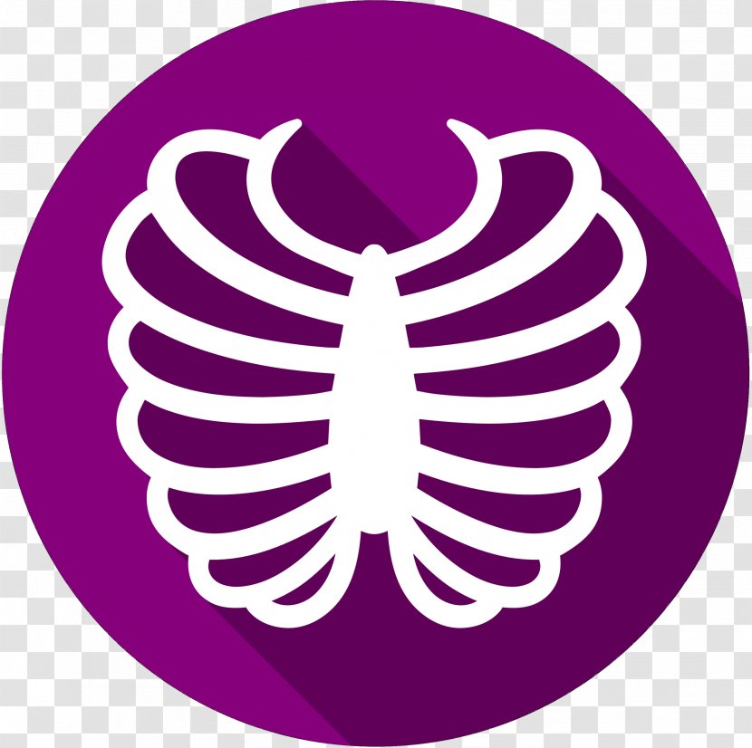 Rib Cage Vector Graphics Bone - Internal Fixation - Shoulder Pain Transparent PNG