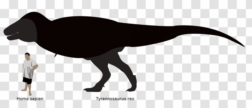 Silhouette Fauna Beak - Cute T Rex Transparent PNG