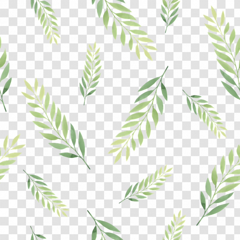 Leaf Plant Stem Tree Green Line Transparent PNG