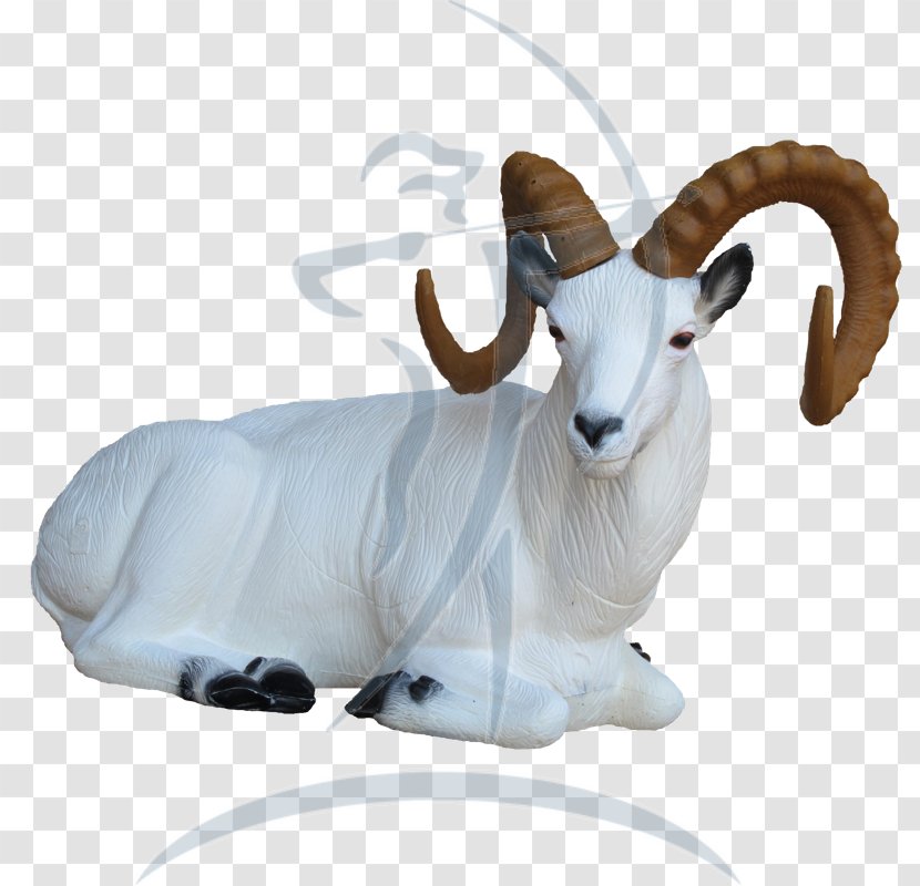 Dall Sheep Goat Bighorn Deer - Animal Transparent PNG