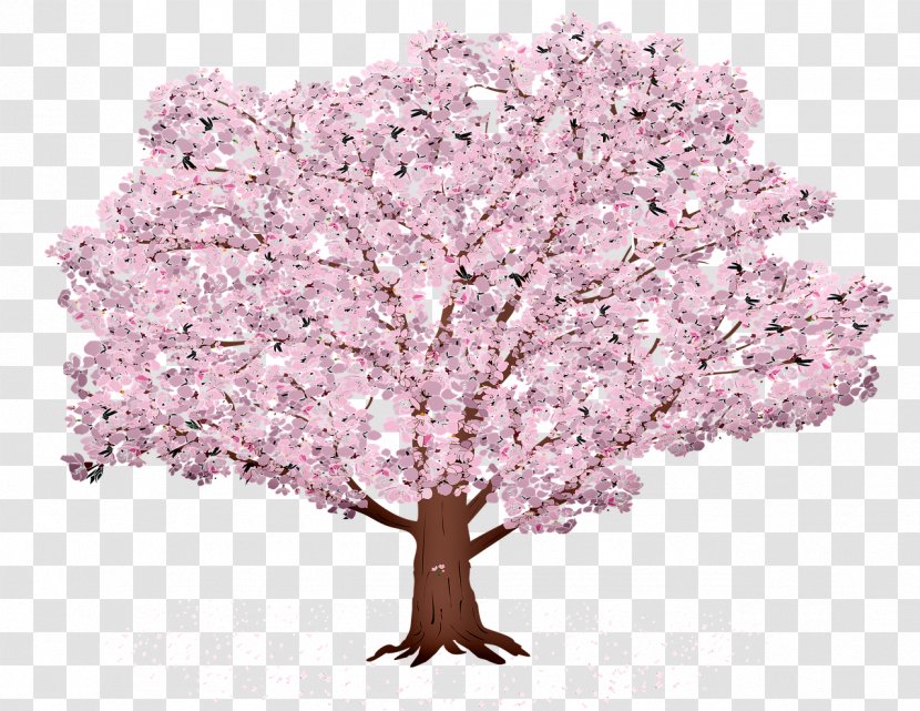 Cherry Blossom Tree - Grass Spring Transparent PNG