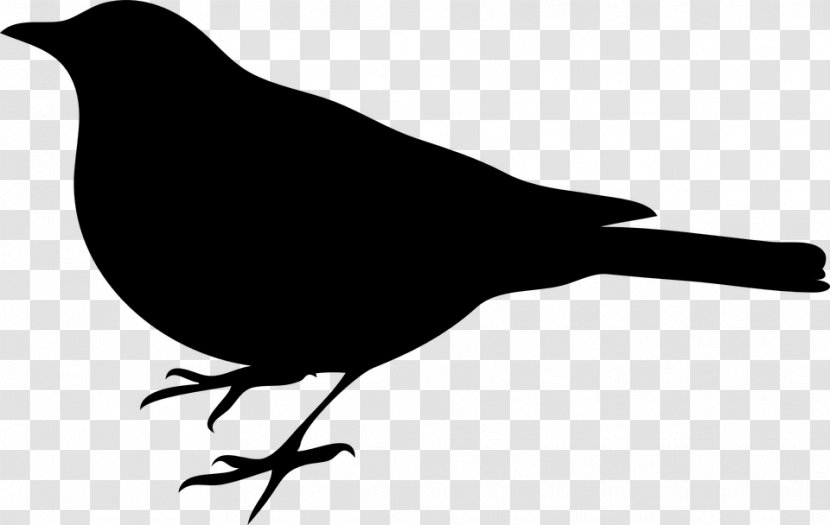 Northern Mockingbird To Kill A Clip Art - State Bird - Vogelschwarz Transparent PNG