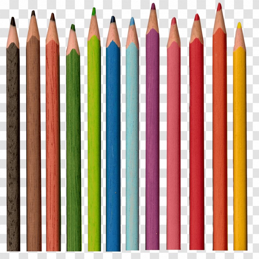 Colored Pencil Drawing - Office Supplies Transparent PNG