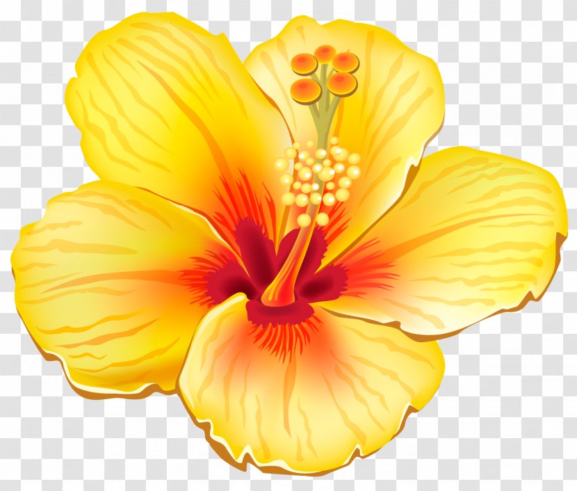 Flower Clip Art - Yellow - Exotic Clipart Picture Transparent PNG