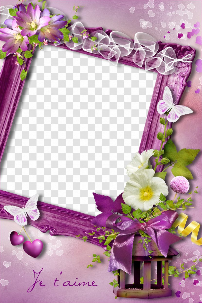 Picture Frame - Petal - Mood Pictures Transparent PNG