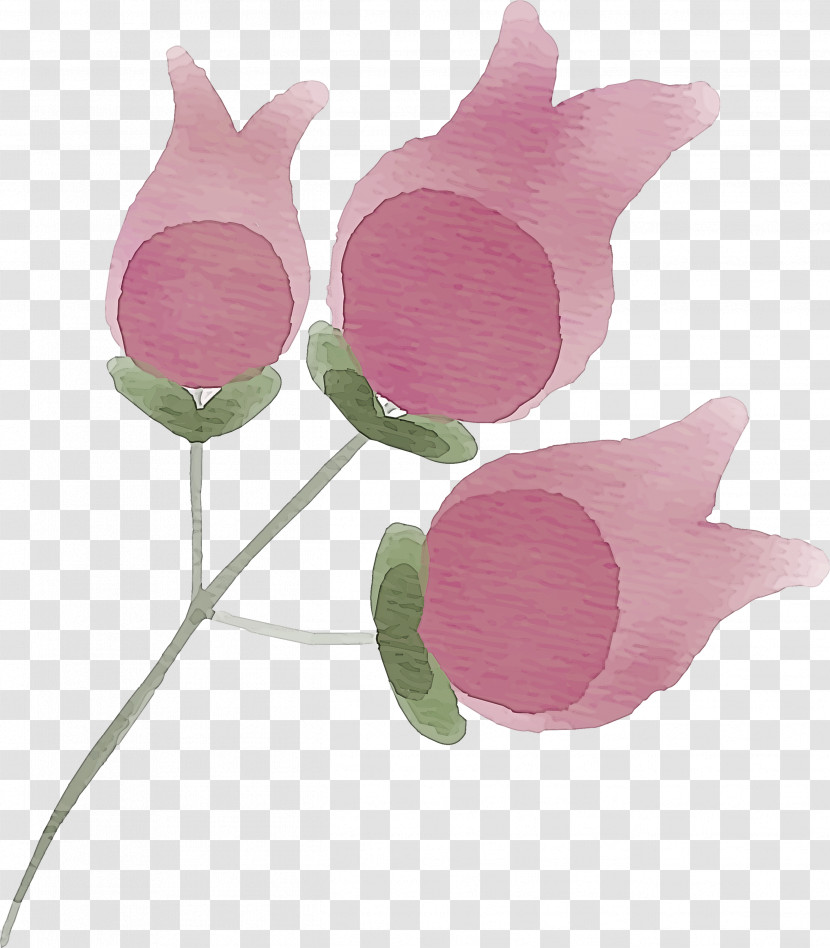 Pink Flower Plant Petal Tulip Transparent PNG