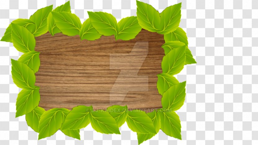 Leaf Drawing Photography - Branch Transparent PNG