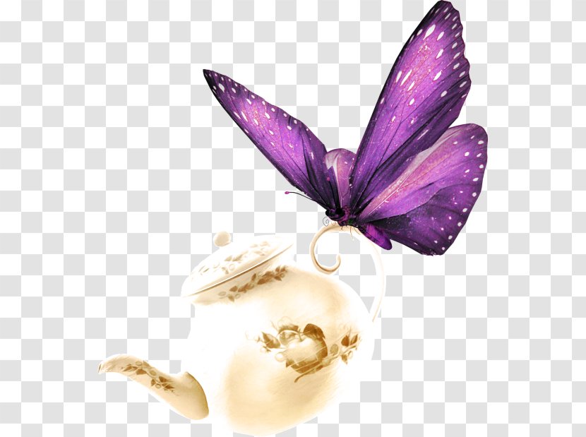 Butterfly Color Pixel - And Teapot Transparent PNG