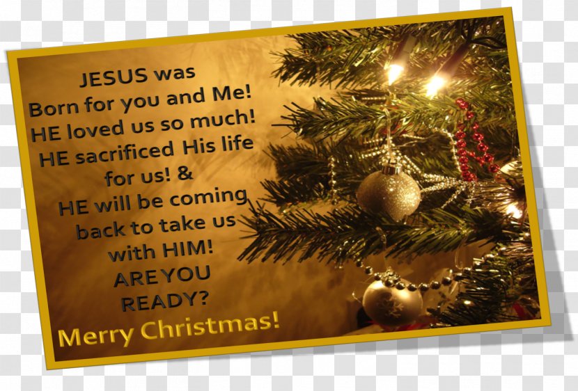 Christmas Nativity Of Jesus Wish Greeting & Note Cards Santa Claus - Birthday Transparent PNG