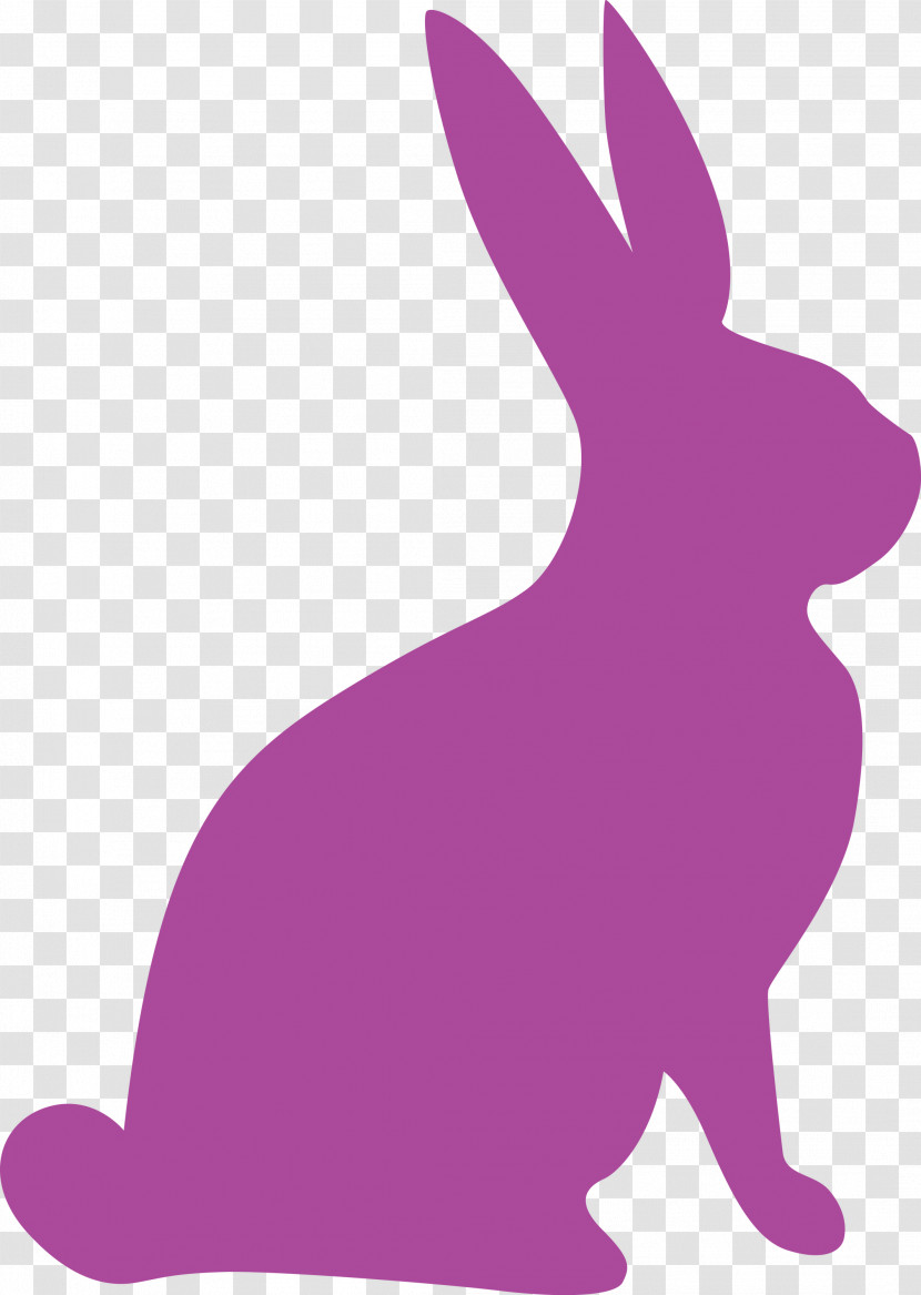 Easter Bunny Easter Day Rabbit Transparent PNG