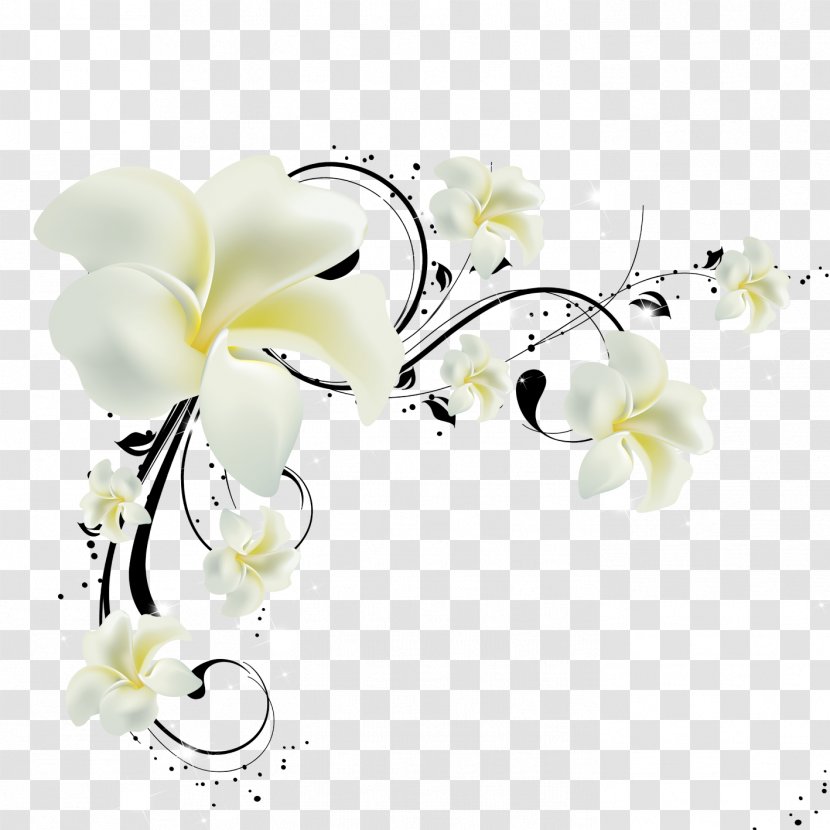 Paper Wall Television Wallpaper - Branch - Flowers Transparent PNG