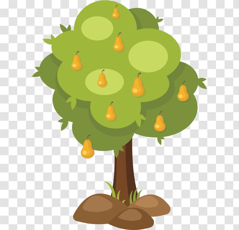 Tree Chinese White Pear Clip Art - Green Transparent PNG