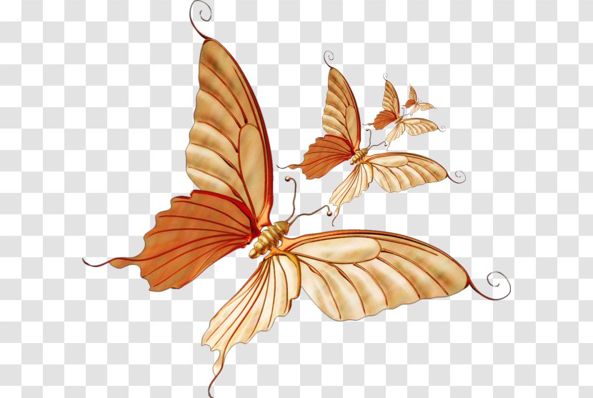 Monarch Butterfly Clip Art - Orange - Autumn Painted Pattern Transparent PNG