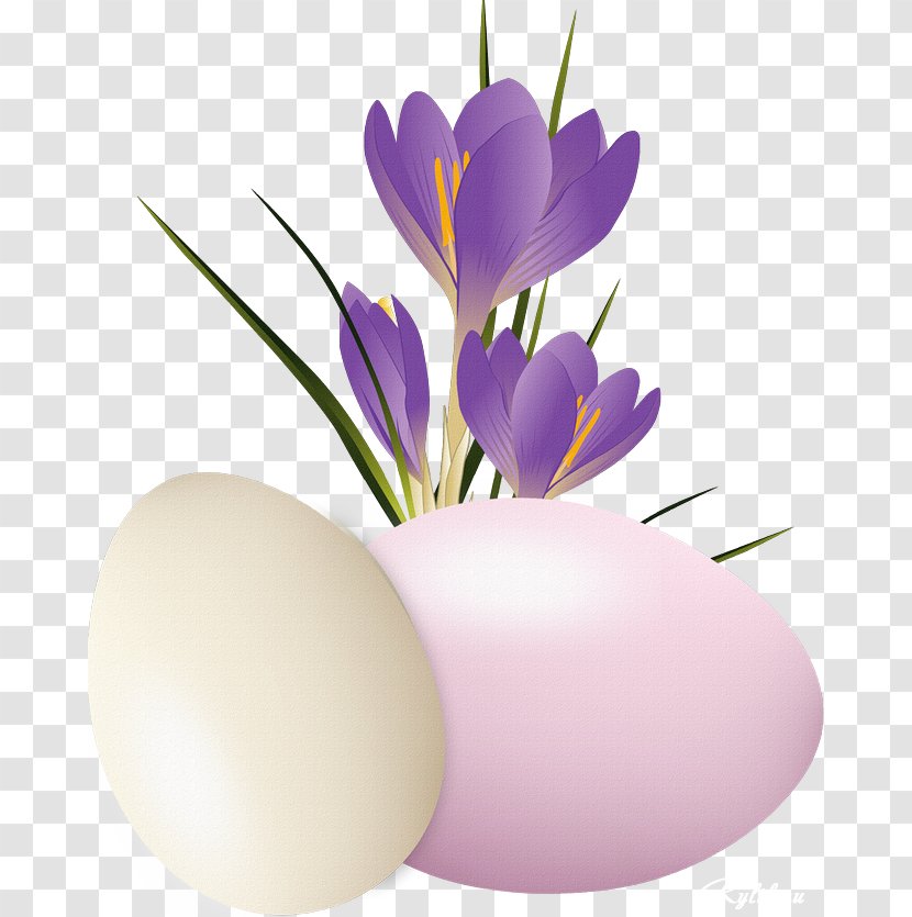 Crocus Vernus Flavus Chrysanthus Clip Art - Easter Egg - Happy Spring! Transparent PNG