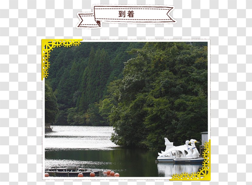 Ijira Lake Hypomesus Nipponensis Boat Waterway - Cooking - Happy Fish Transparent PNG