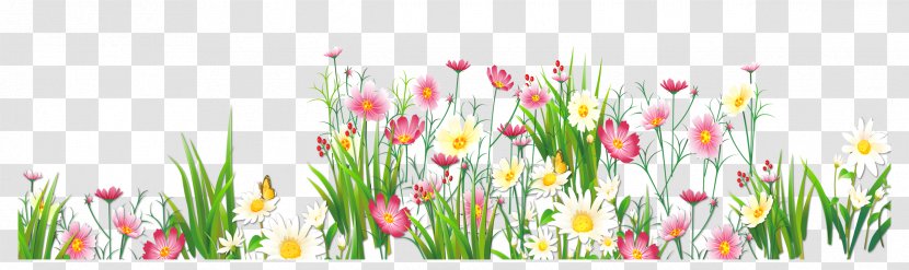 Flower Grasses Clip Art - Flowering Plant - Flowers And Grass Picture Clipart Transparent PNG