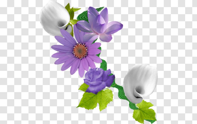 Flower Blog - Editing Transparent PNG