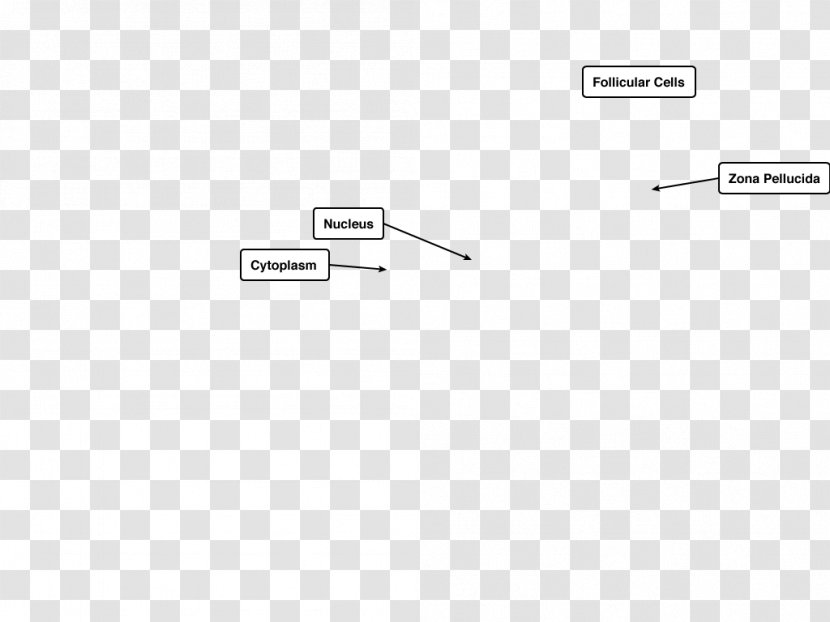 Document Line Angle - Paper - Into Transparent PNG