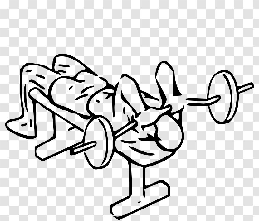 Lying Triceps Extensions Brachii Muscle Bench Dip Biceps - Cartoon - Attention Transparent PNG