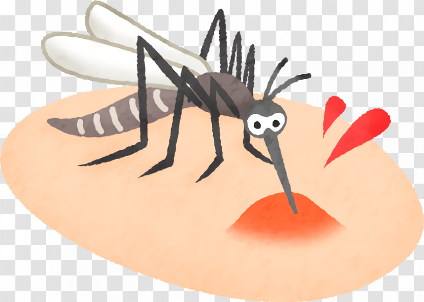 Insect Cartoon Pest Membrane-winged Insect Honeybee Transparent PNG