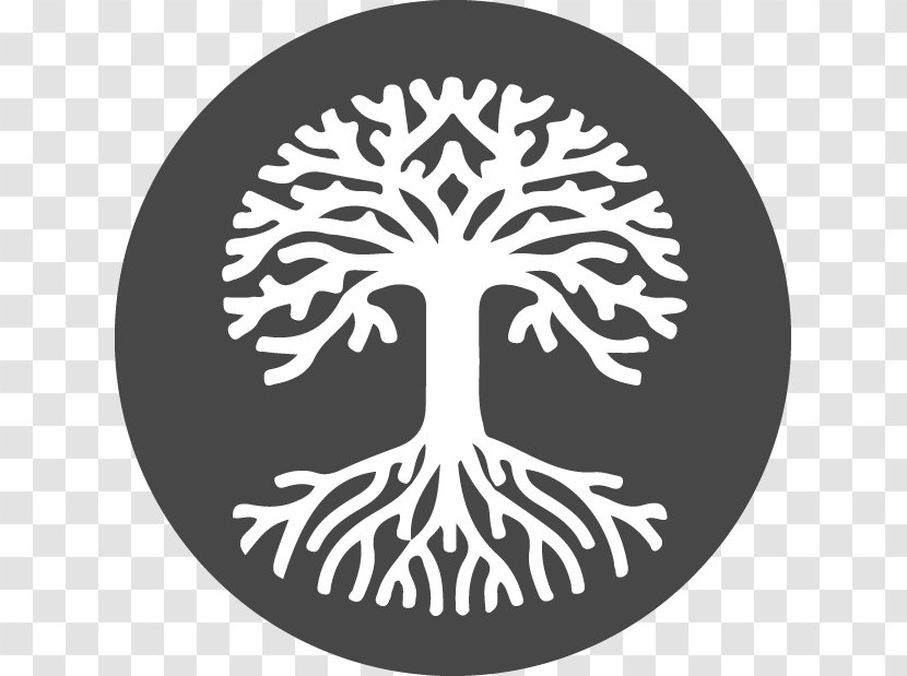 Tree Clip Art - Oak Transparent PNG
