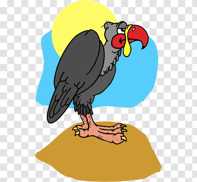 Macaw Hawk Buzzard Vulture Clip Art - Velociraptor Transparent PNG