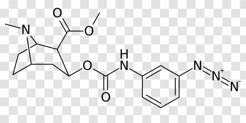 Coca Alkaloid Tropane Point Cocaine Lewis Structure - Symbol - Molecular Transparent PNG