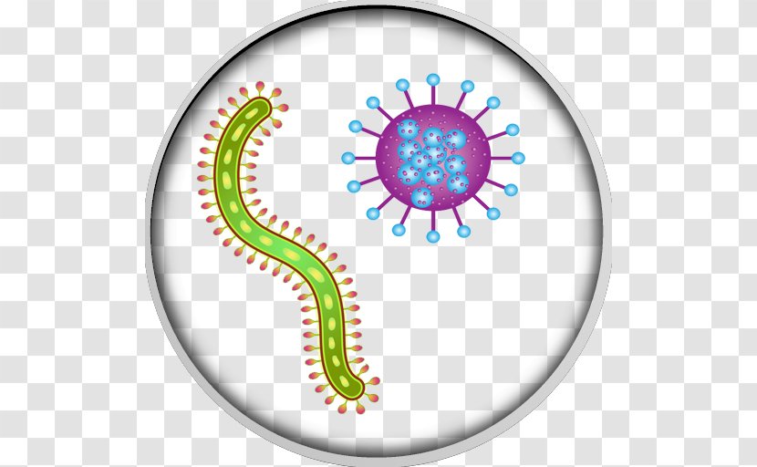 Microbiology Bacteria - Microbial Ecology - Bacteriology Transparent PNG