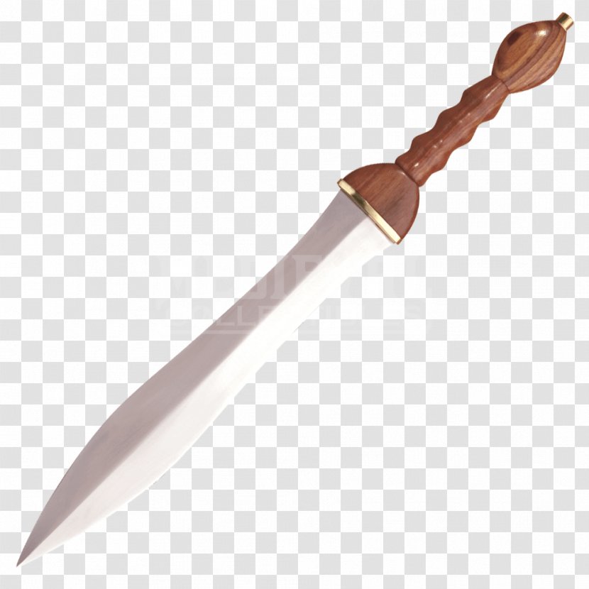 Ancient Rome Gladius Pugio Roman Army Sword - Knife - Dagger Transparent PNG