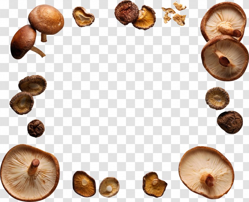 Shiitake Edible Mushroom Food - Hazelnut Transparent PNG