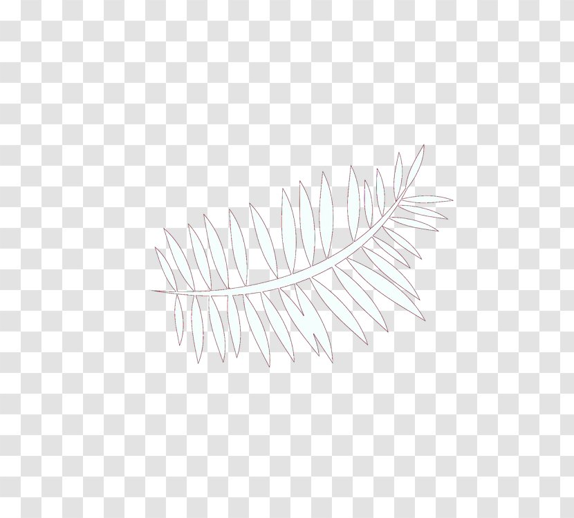 Feather - Eyelash Extensions - Fashion Accessory Transparent PNG