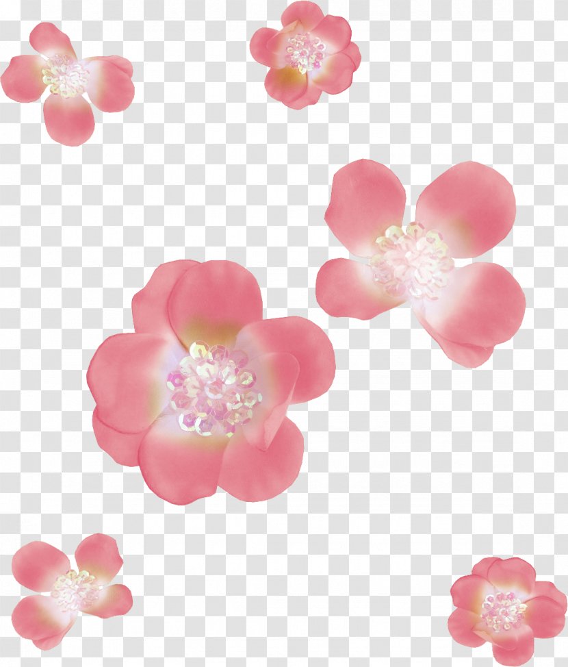 Flower Cherry Blossom Petal Clip Art - Yandex Search - Pearls Transparent PNG