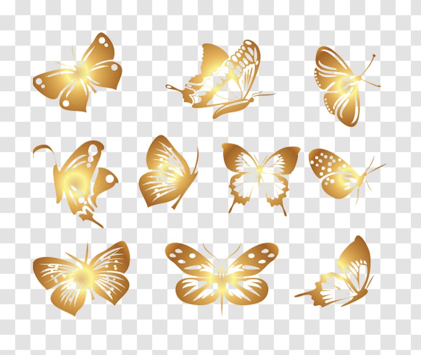 Butterfly Euclidean Vector Clip Art - Pollinator - Beautiful Transparent PNG