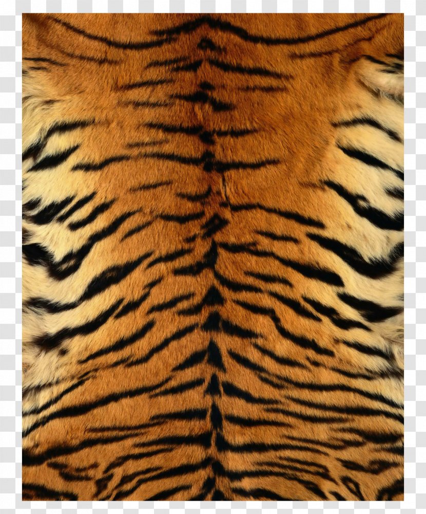 Siberian Tiger Leopard Fur Texture Pattern - Mammal - Skin Children Transparent PNG