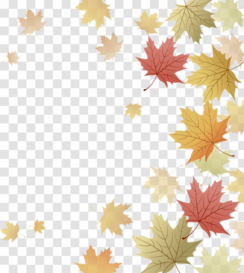 Japanese Maple Red Leaf Autumn - Leaves Border Transparent PNG