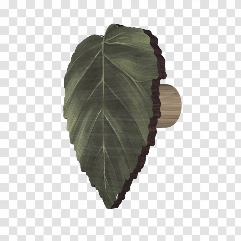 Leaf - Plant Transparent PNG