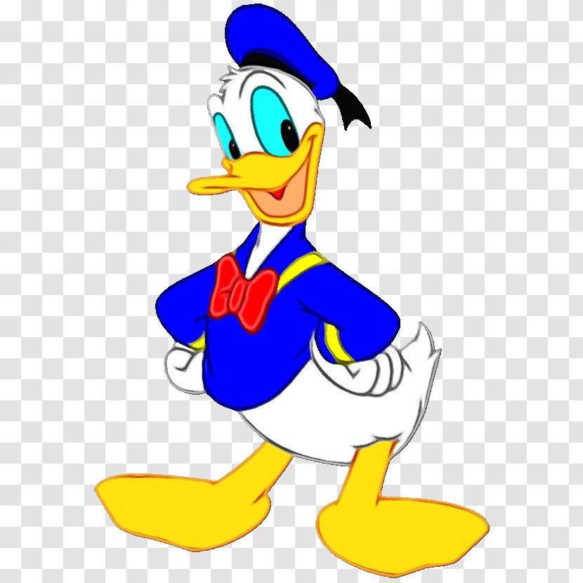 Donald Duck Daffy Daisy Image - Beak - Coloring Book Transparent PNG