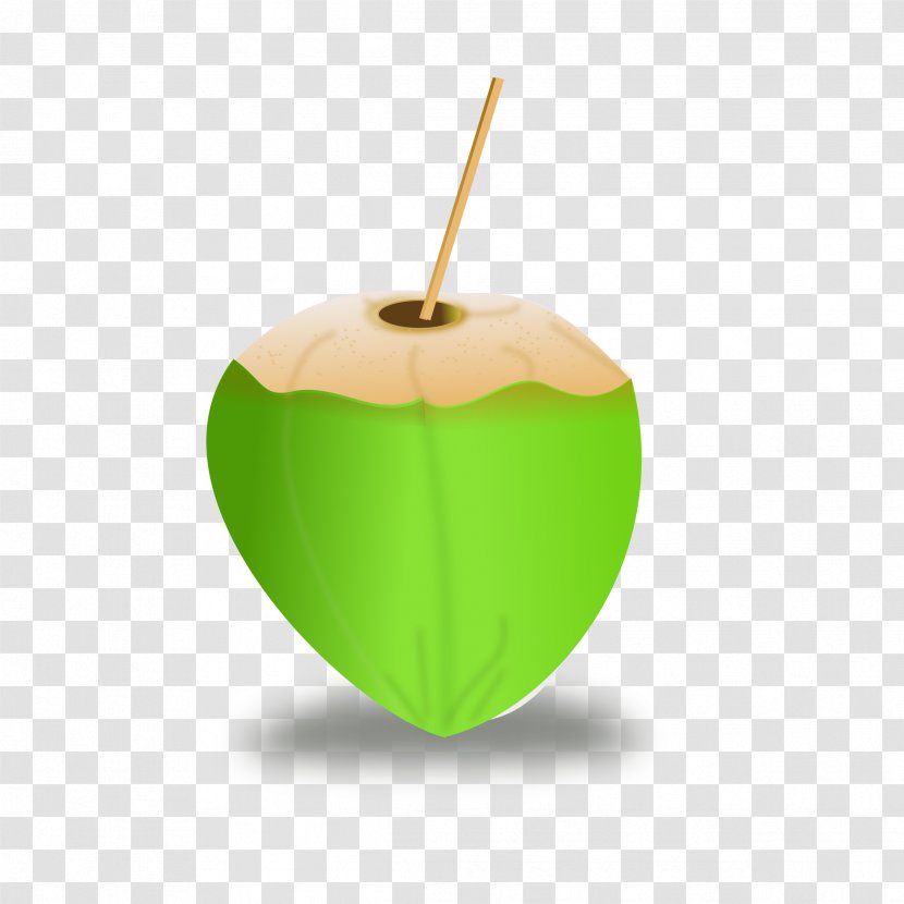 Coconut Water Clip Art - Arecaceae Transparent PNG