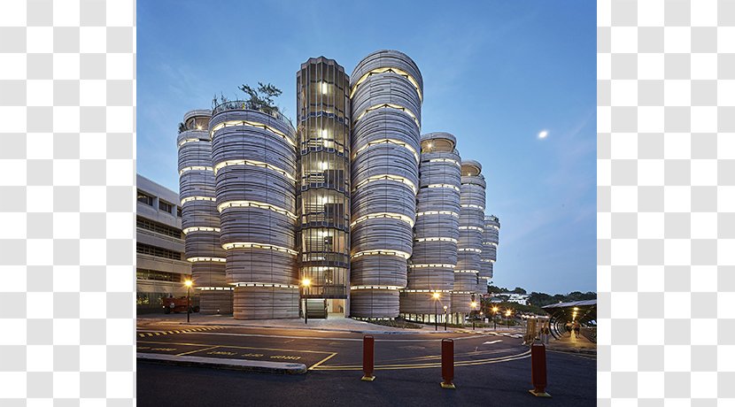 Nanyang Technological University The Hive, Singapore Zeitz Museum Of Contemporary Art Africa UK Pavilion At Expo 2010 - Building - Landmark Transparent PNG