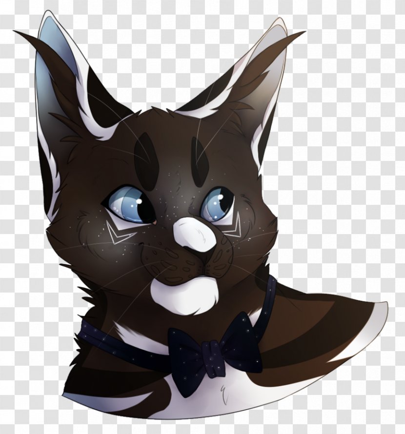 Whiskers Cat DeviantArt Drawing - Mammal - Too Fast Transparent PNG
