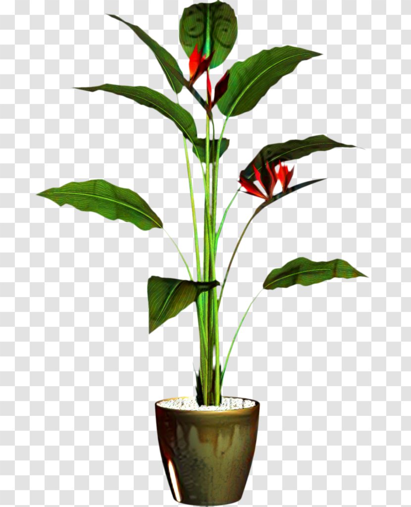 Flower Clip Art Plant Stem Leaf - Tree - Botany Transparent PNG