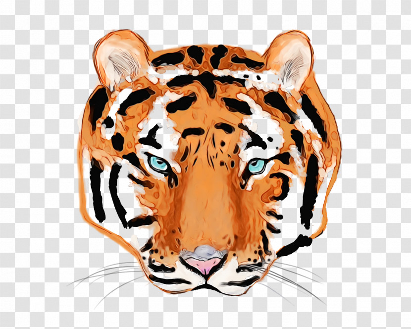 Tiger Whiskers Cat Snout Wildlife Transparent PNG
